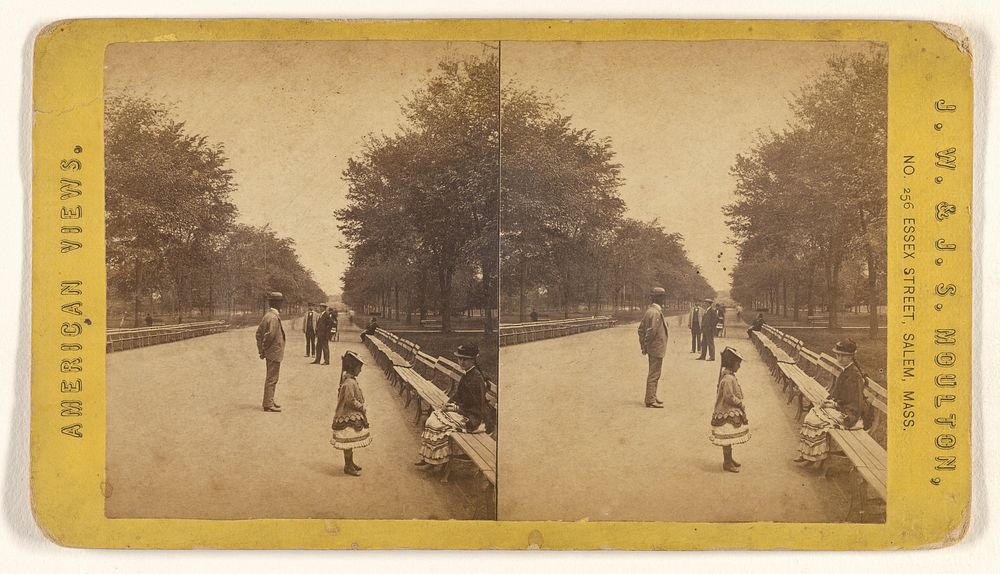 The Mall, Central Park. [N.Y.] by Joshua W Moulton and John S Moulton