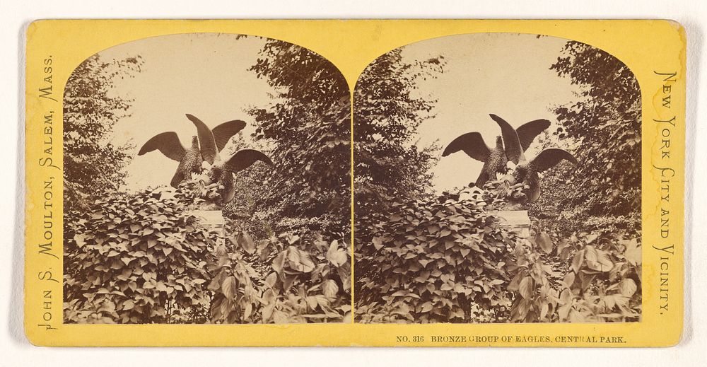Bronze Group of Eagles, Central Park. [N.Y.] by John S Moulton