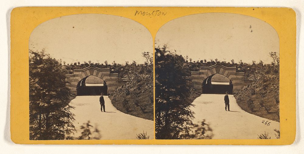 Bridge and Mall. [Central Park, New York] by John S Moulton