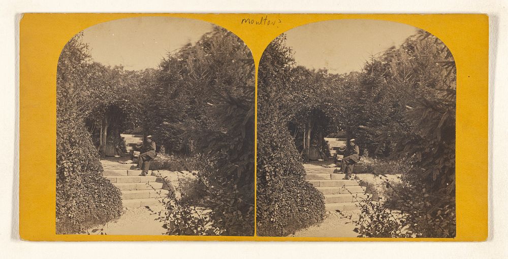 Rustic Arbor in the Ramble. [Central Park, N.Y.] by John S Moulton