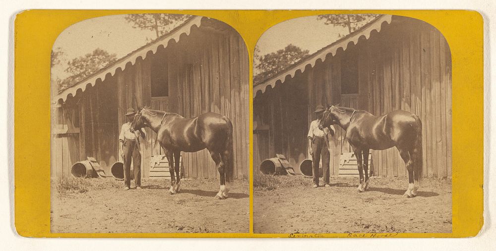 "Lexington." (Race Horse.) Alexander's Blooded Stock, Woodburn, Ky. by James Mullen