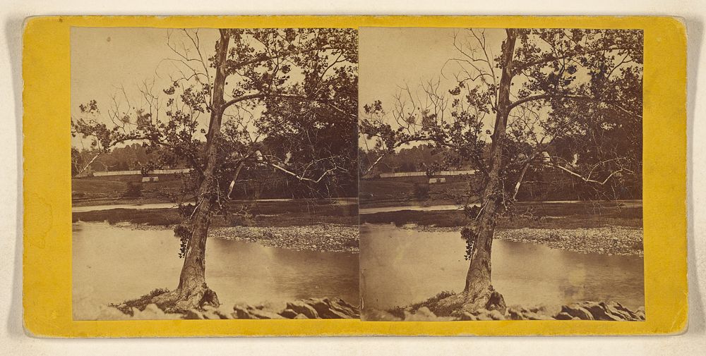 View of Townsend Creek, Lexington, Kentucky by Carpenter and Mullen
