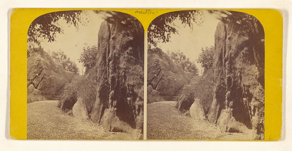 The Cave, looking South. [Central Park, N.Y.] by John S Moulton
