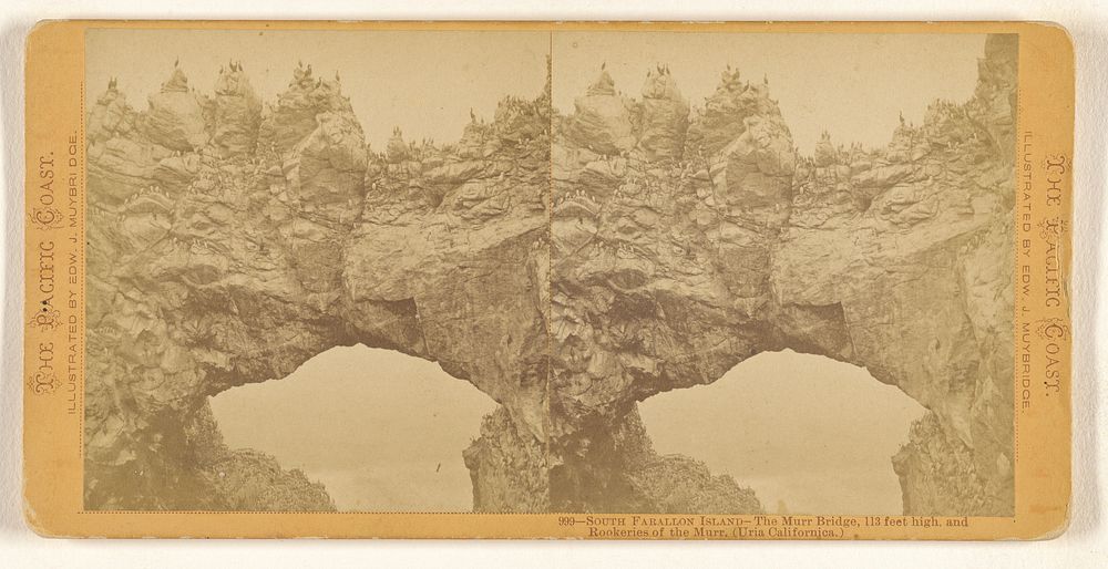 South Farallon Island - The Murr Bridge, 113 feet high and Rookeries of the Murr. (Uria Californica.) by Eadweard J Muybridge