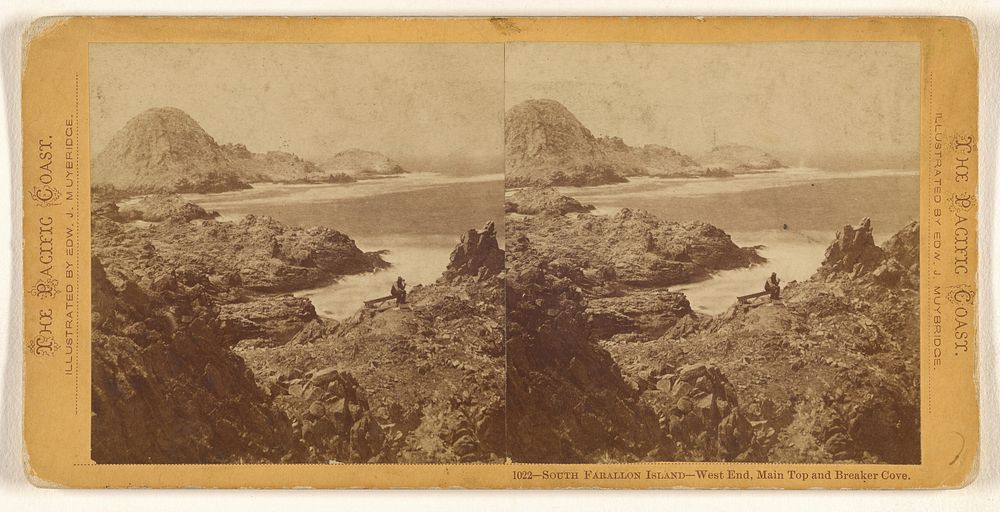 South Farallon Island - West End, Main Top and Breaker Cove. by Eadweard J Muybridge