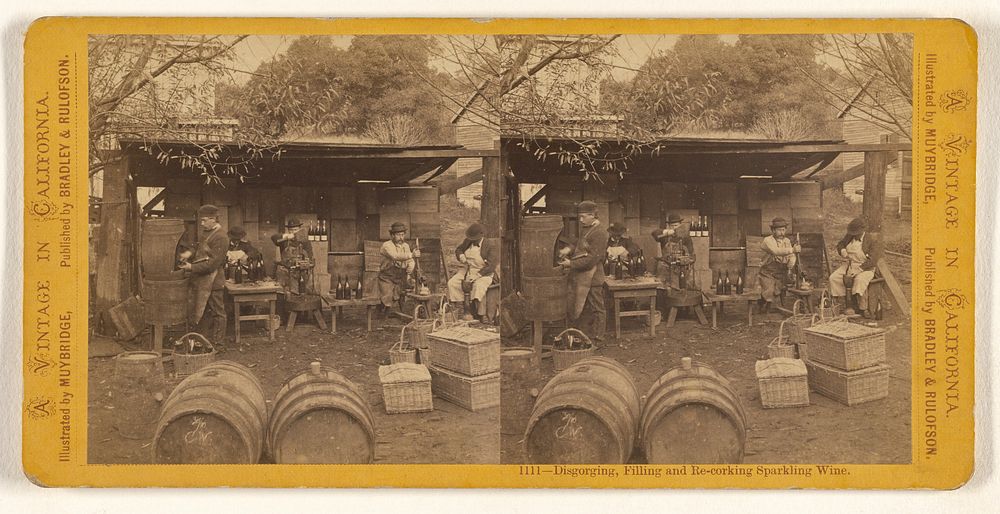 Disgorging, Filling and Re-corking Sparkling Wine. by Eadweard J Muybridge