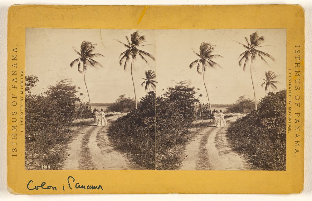 Colon (Apsinwall.) Road Along the Beach. by Eadweard J Muybridge
