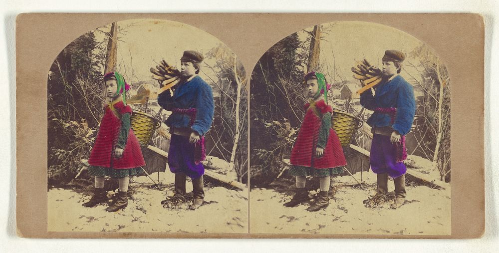 Little Fagot Gatherers. by New York Stereoscopic Company