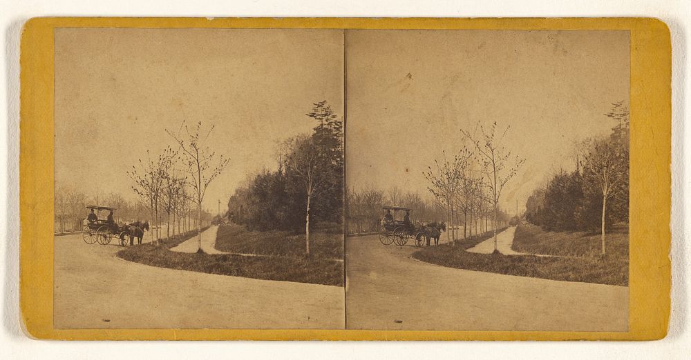 River Road & Park Carriage, Phila. Park by Robert Newell and Company