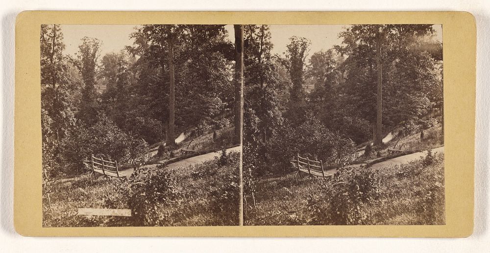 Landsdown Valley. [Fairmount Park, Philadelphia, Pennsylvania] by Robert Newell and Son
