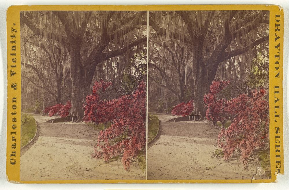 Magnolia-on-the-Ashley, The residence of Rev. J.G. Drayton, on the Ashley River, thirteen miles from Charleston, S.C.…