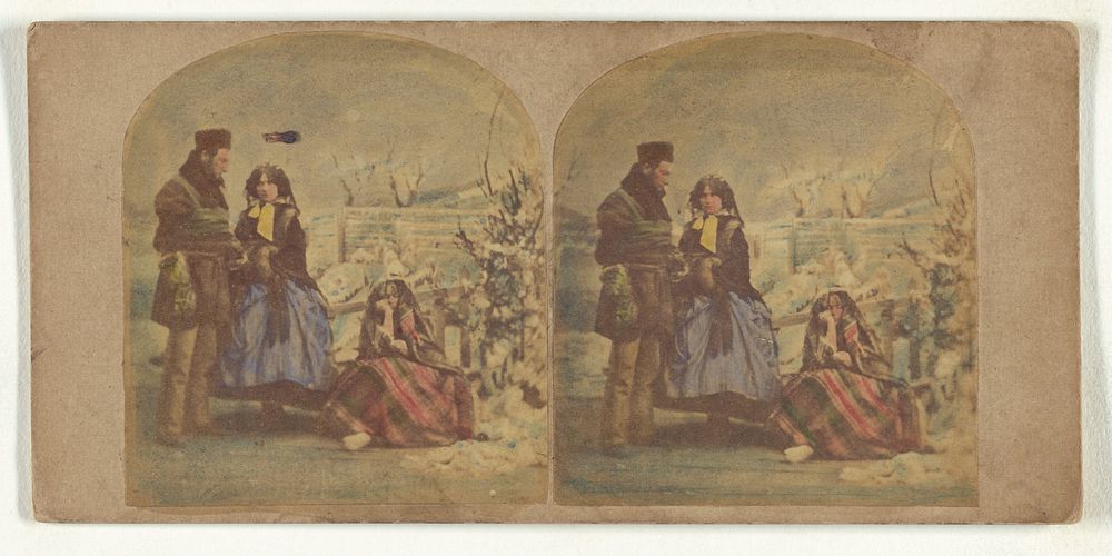 Winter Scenes. Snow Storm - A Contrast. by New York Stereoscopic Company