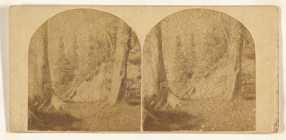 Niagara Falls, N.Y. View from Goat Island, Clifton House in the distance. by New York Stereoscopic Company