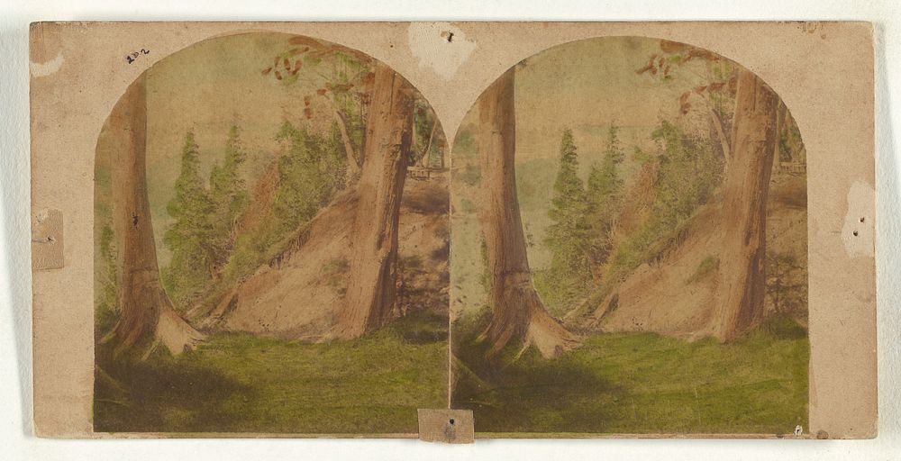 Niagara Falls. View from Goat Island - Clifton House in the distance. by New York Stereoscopic Company