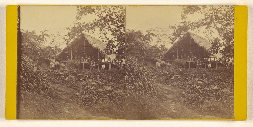 View of an Indian House on the upper part of the Sassardi River. Darien Expedition. by Timothy H O Sullivan