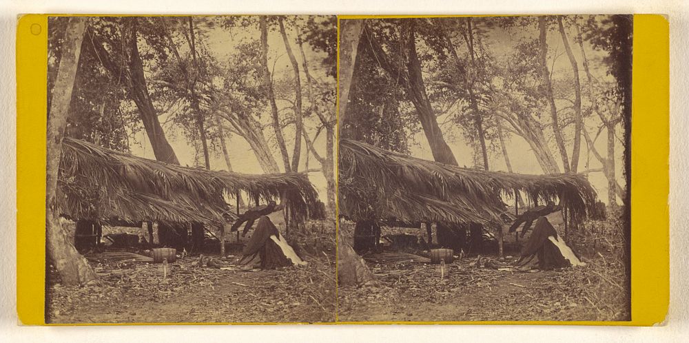 Rear view of the Telegraph Office, at Neipsie point. Calidonia Bay, U.S. Darien Expedition by Timothy H O Sullivan