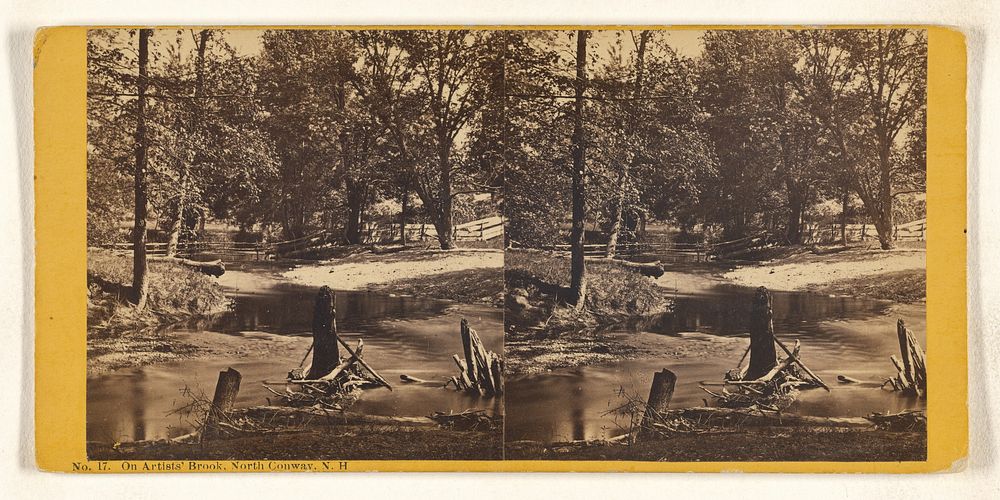 On Artists' Brook, North Conway, N.H. by Nathan W Pease