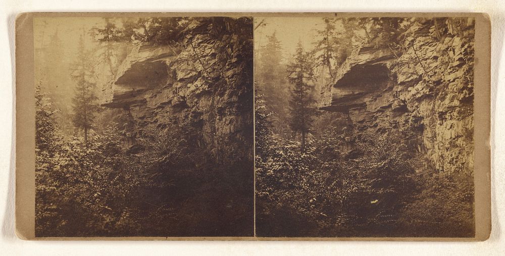 View of Cliff near Nay Aug Falls, Luzerne Co., Pa. by William H Schurch