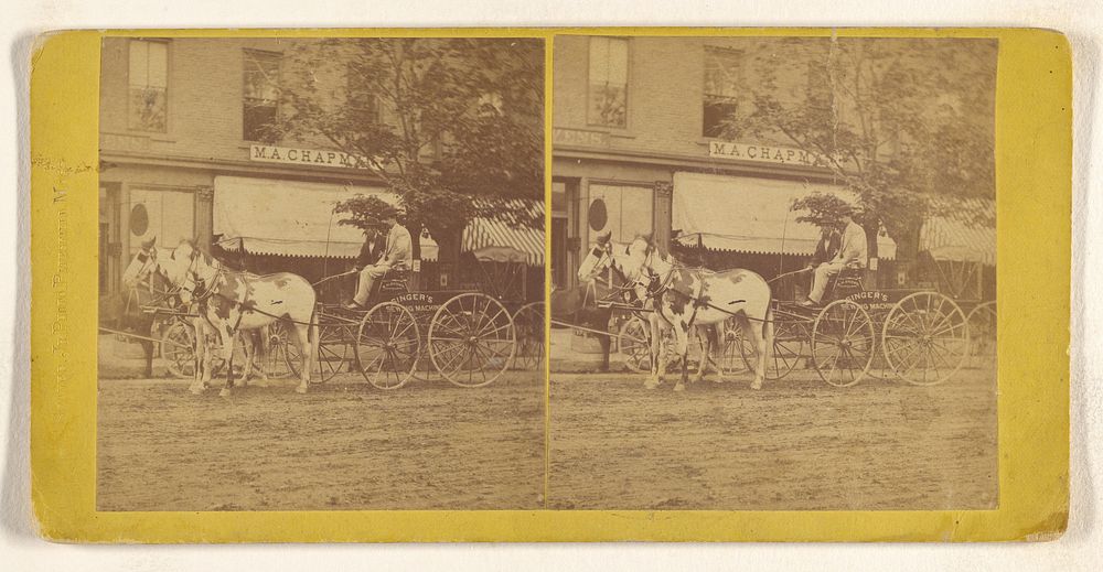 Horse-drawn wagon of the Singer Sewing Machine Company, Pittsfield, Mass. by Charles Seaver Jr and Charles Pollock