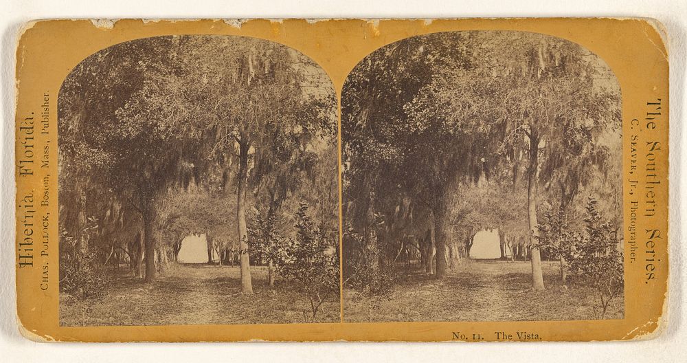 The Vista. [Hibernia, Florida] by Charles Seaver Jr and Charles Pollock