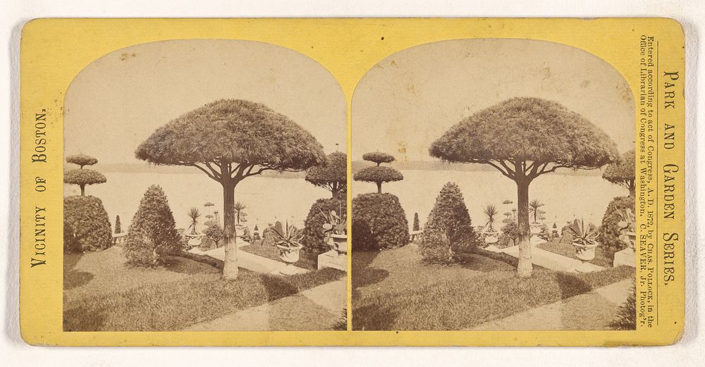 View from the Italian garden, H. H. Hunnewell Estate by Charles Seaver Jr and Charles Pollock