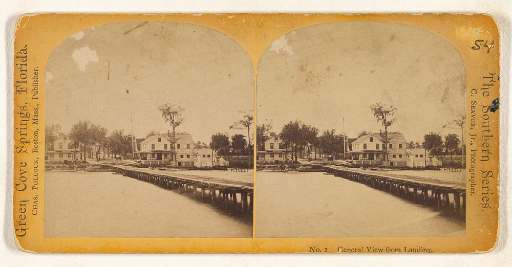 General View from Landing. [Green Cove Springs, Florida] by Charles Seaver Jr and Charles Pollock