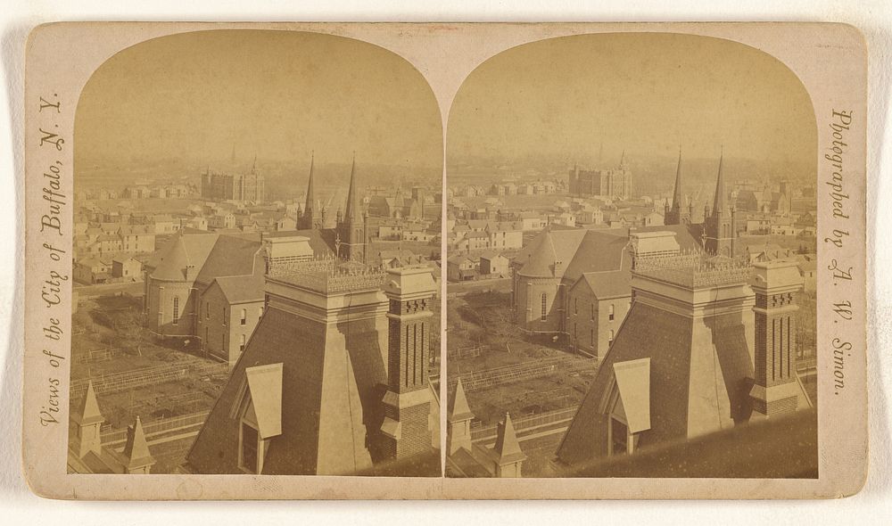 Buffalo from Tourists' and Invalids' Hotel. [Buffalo, N.Y.] by A W Simon