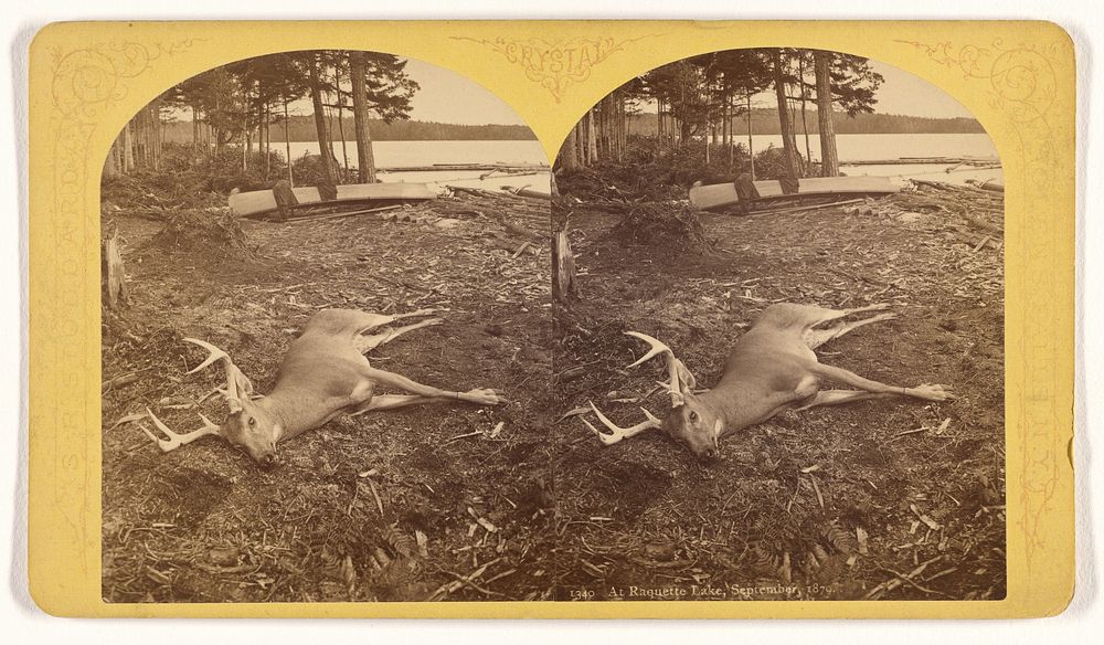 At Raquette Lake, September, 1879. by S R Stoddard