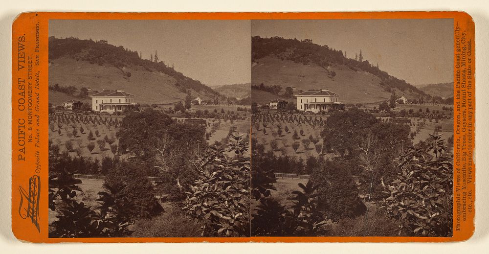 View of house and garden, California by John Rudolph Leavenworth