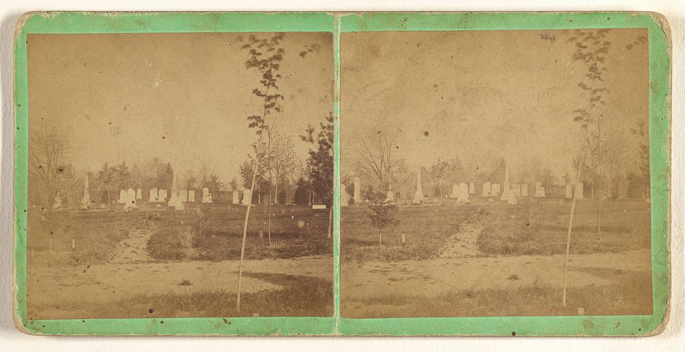 From Cedar Avenue - looking West. Indian Mound Cemetery. Moravia, N.Y. by T T Tuthill