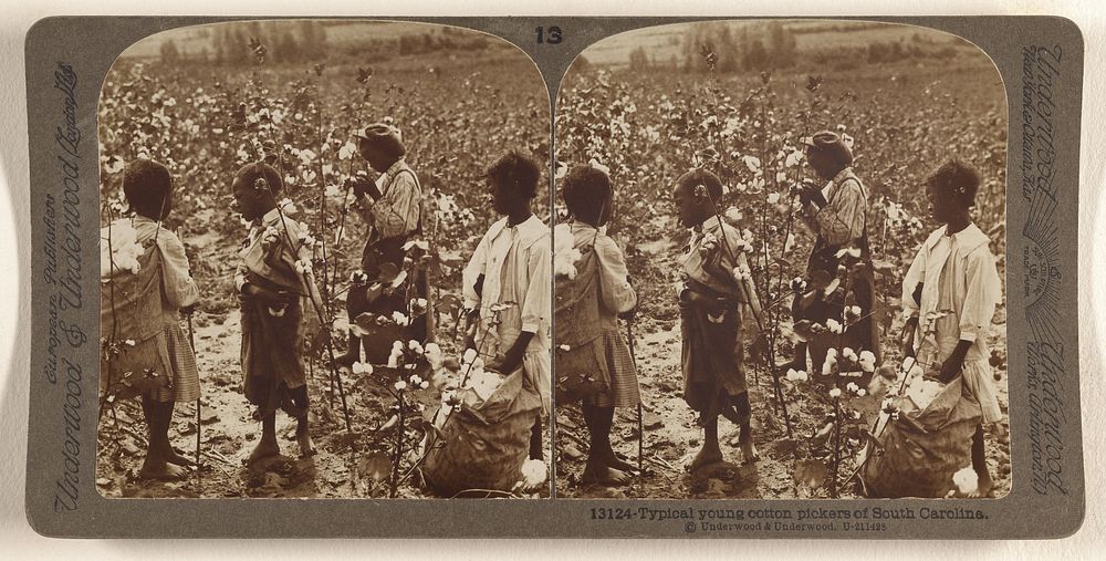Typical Young Cotton Pickers of South Carolina. by Underwood and Underwood