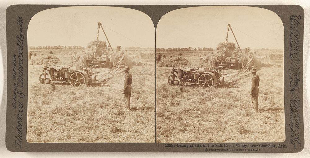 Baling alfalfa in the Salt River Valley near Chandler, Ariz. by Underwood and Underwood