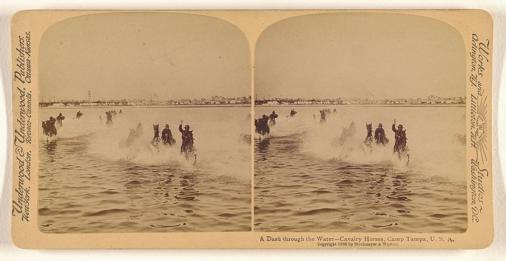 A dash through the water, - Cavalry Horses, Camp Tampa, Florida, U.S.A. by Strohmeyer and Wyman