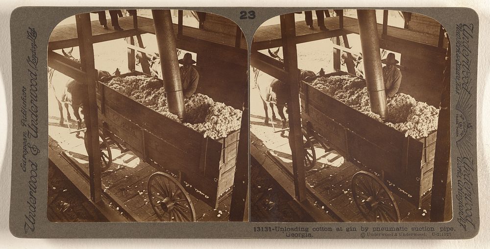 Unloading cotton at gin by pnematic suction pipe, Georgia. by Underwood and Underwood