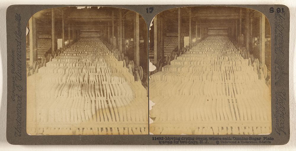 Moving drying ovens, where each Domino Sugar Plate travels for two days, N.J. by Underwood and Underwood