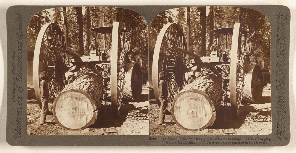 Huge Steam Traction Dray (13 ft. wheels) hauling logs in a Logging Camp, California. by Underwood and Underwood
