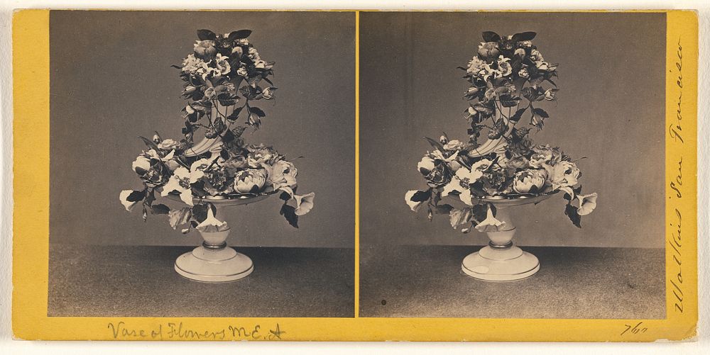 Vase of Flowers by Carleton Watkins