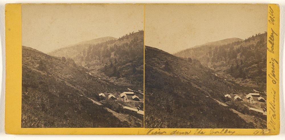 View down the Valley by Carleton Watkins