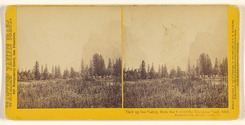 View up the Valley, from the foot of the Mariposa Trail, Yosemite Valley, Mariposa County, Cal. by Carleton Watkins