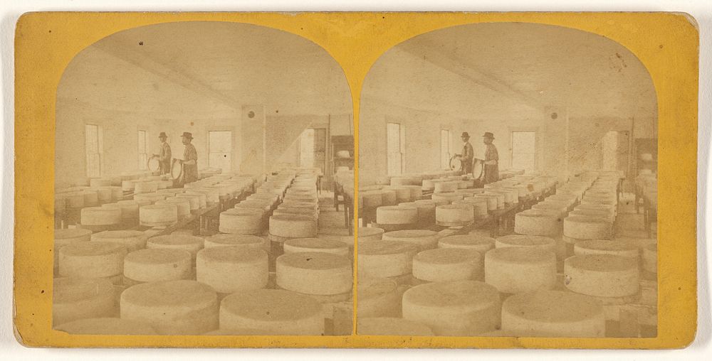 Cheese factory