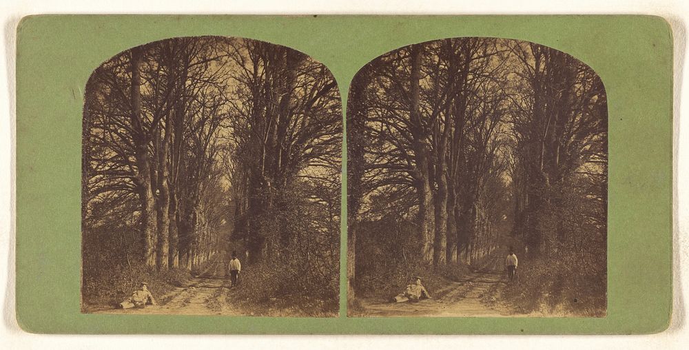 Forest scene: one man in top hat to right, another man on ground at left