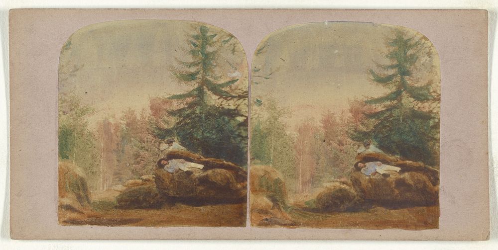 Two men on a rock in a forest