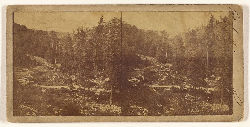 Forest vista] (recto); [Unidentified city view with vineyard in foreground] (verso