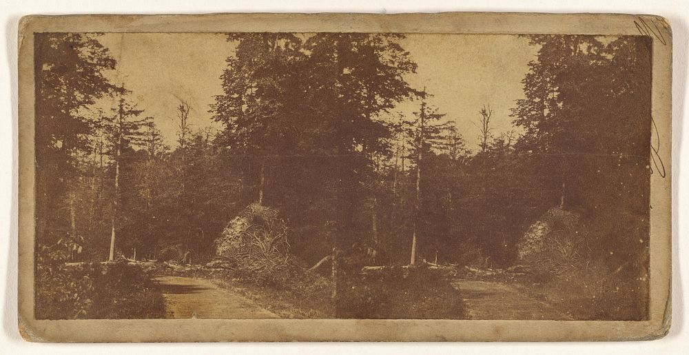 Forest view] (recto); [Unidentified French city] (verso