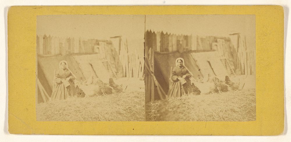 Woman seated in barnyard, chickens nearby