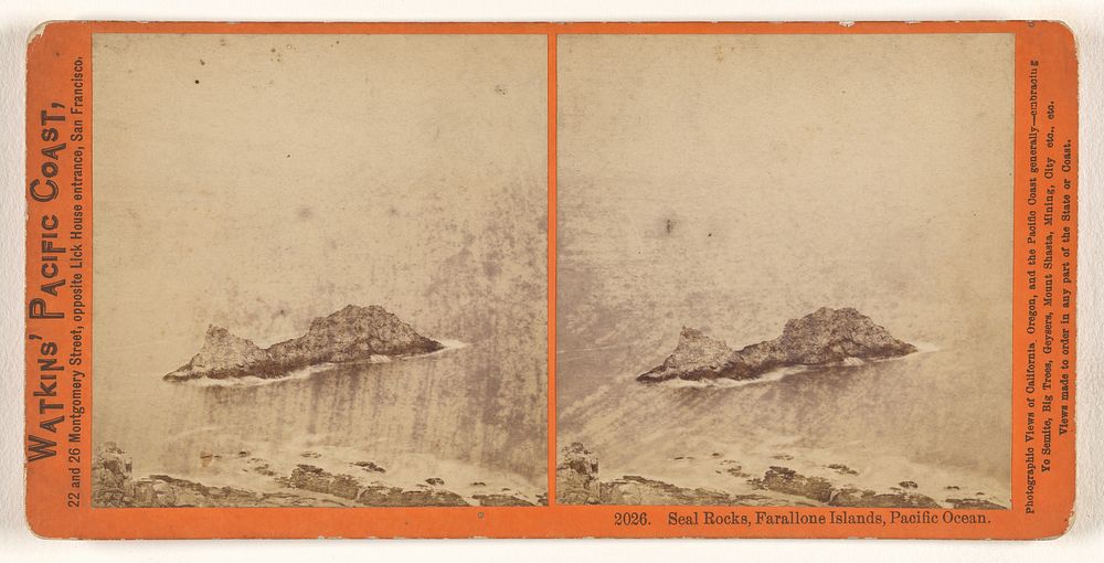 Seal Rocks, Farallone [sic] Islands, Pacific Ocean. by Carleton Watkins