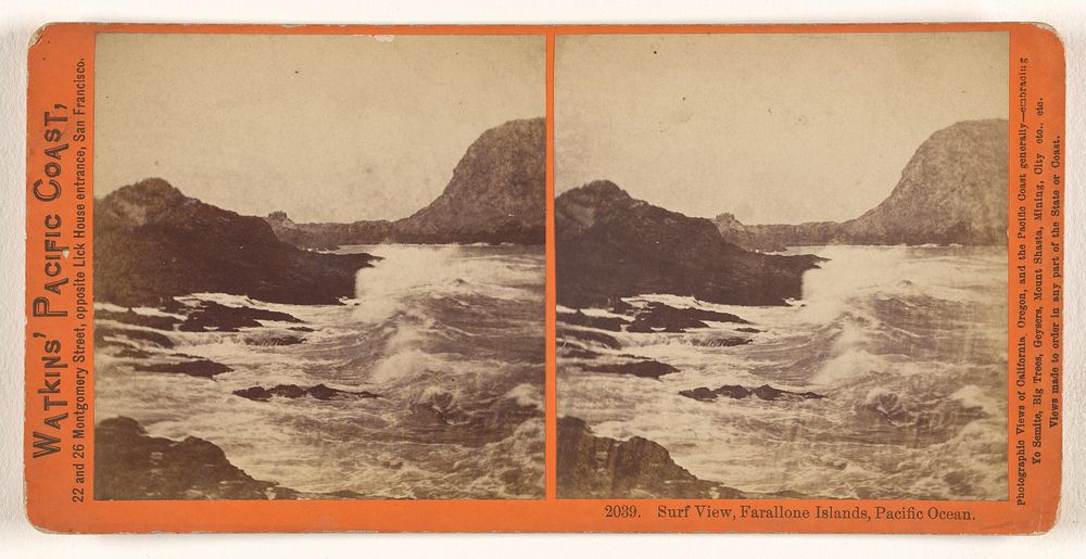 Surf View, Farallone [sic] Islands, Pacific Ocean. by Carleton Watkins
