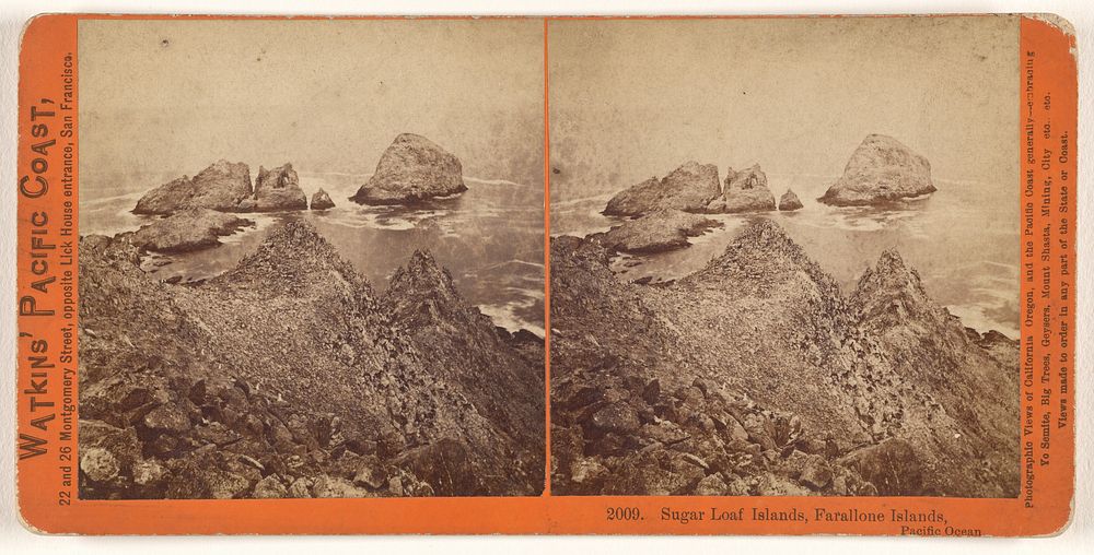 Sugar Loaf Islands, Farallone [sic] Islands, Pacific Ocean. by Carleton Watkins