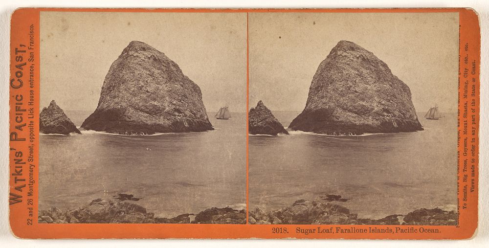 Sugar Loaf, Farallone [sic] Islands, Pacific Ocean. by Carleton Watkins