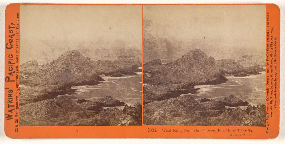 West End, from the Tower, Farallone [sic] Islands, Pacific Ocean. by Carleton Watkins